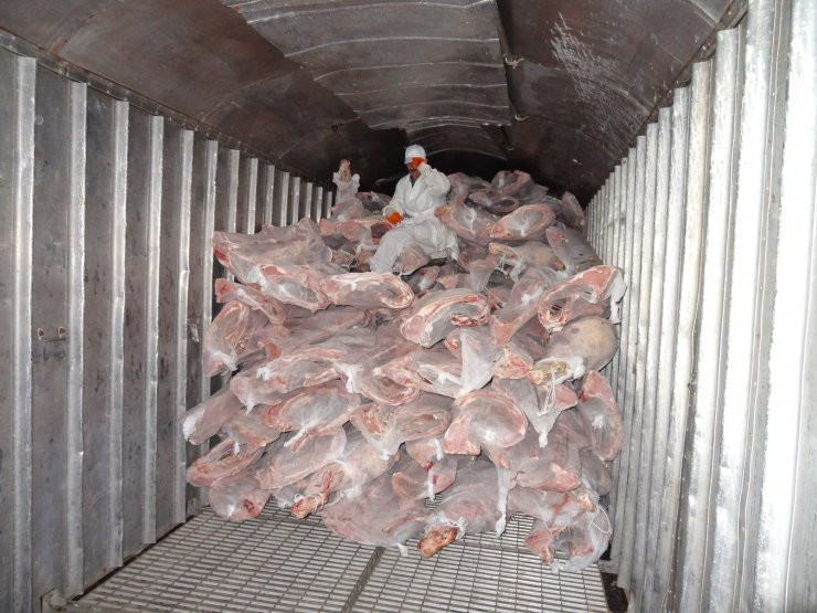 Перевозка замороженного мяса и рыбы через порты Поти и Батуми Грузия. - фото 1 - id-p4909956