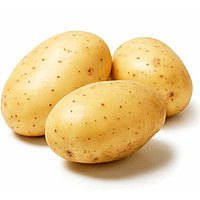 Картофель семенной Гала 1 РС