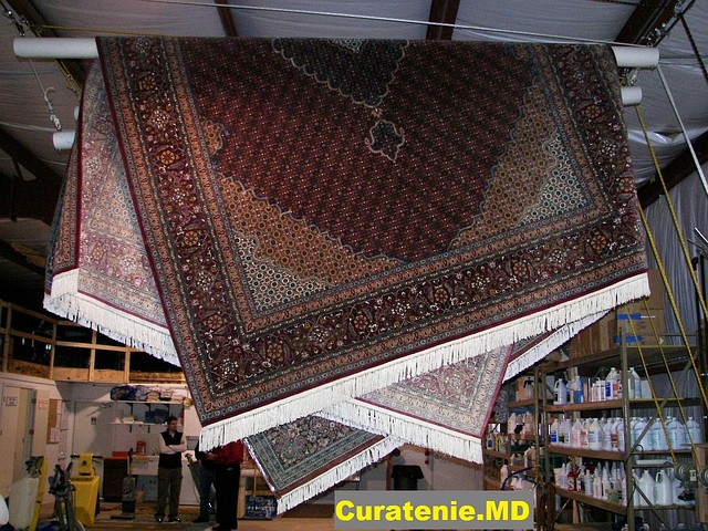 Специализированная химчистка ковров с вывозом - фото 1 - id-p28212