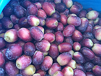 Виноград красный (замороженный) - IQF Red Grapes seedless