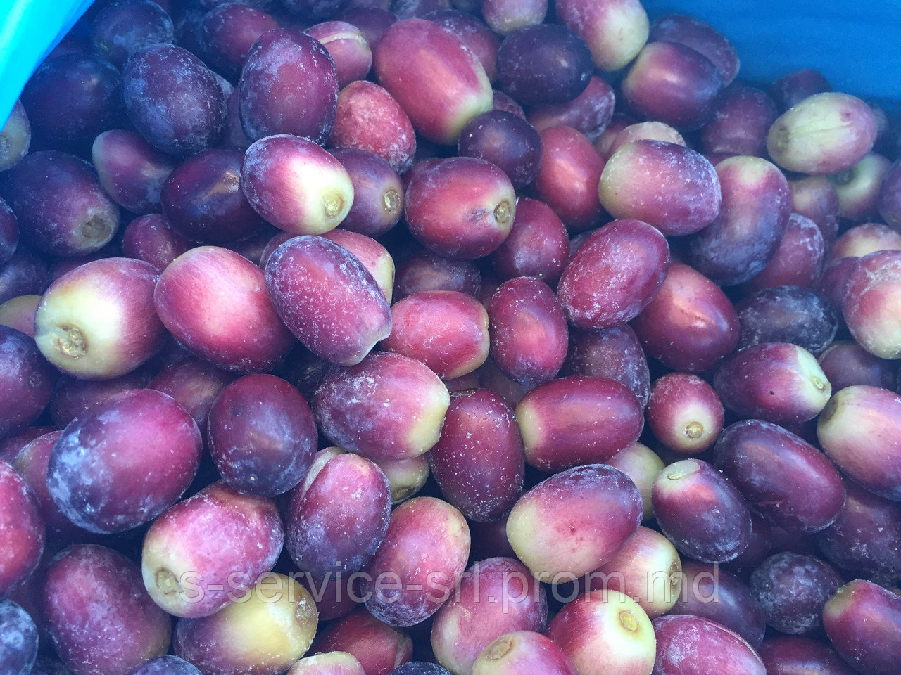 Виноград красный (замороженный) - IQF Red Grapes seedless - фото 1 - id-p5037922