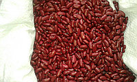 Фасоль красная (крупная)-Молдова / Red Beans (Moldova)