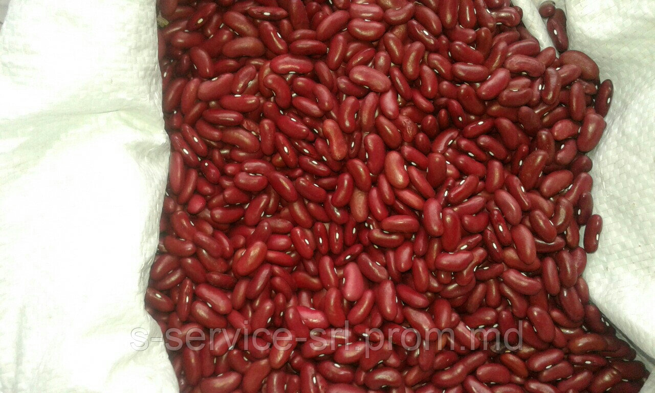 Фасоль красная (крупная)-Молдова / Red Beans (Moldova) - фото 1 - id-p5063416