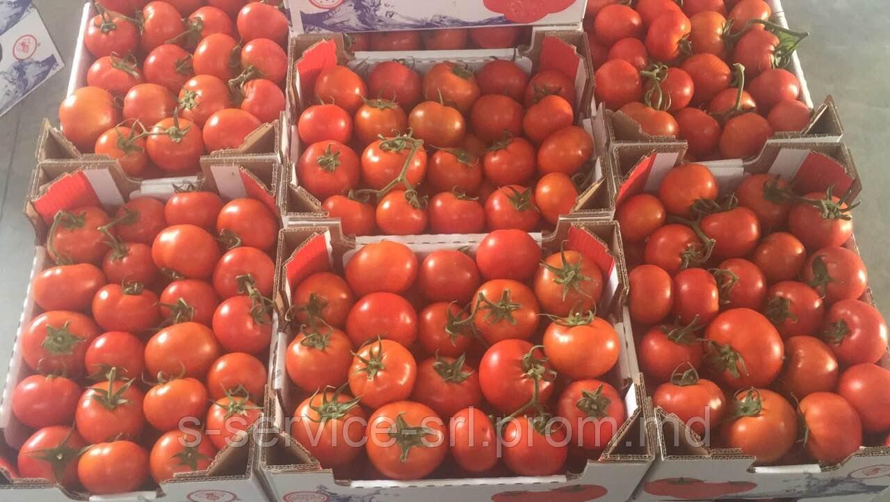 Помидоры - из Сербии,2017 / Fresh Tomatos -Serbia - фото 1 - id-p1193596