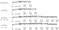 Кран-манипулятор Palfinger PK 10000