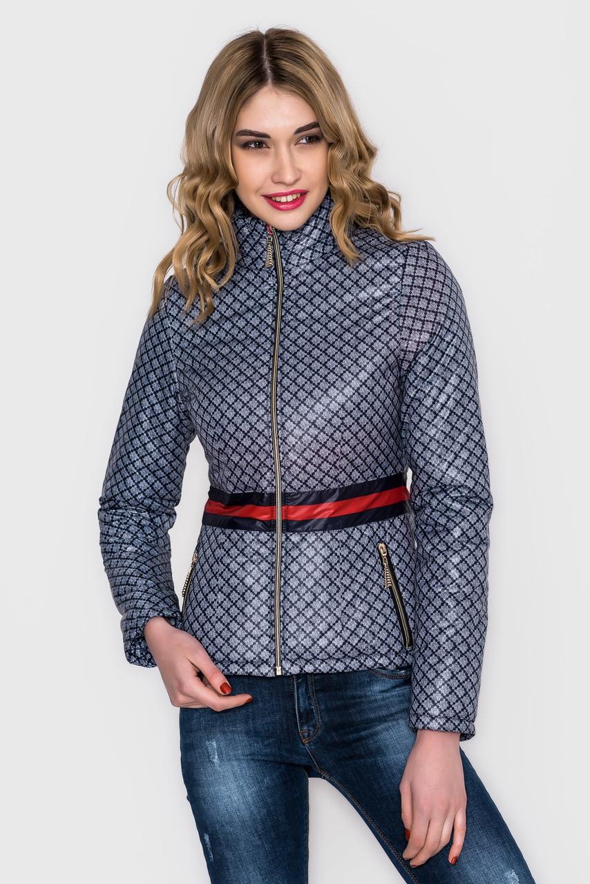 Куртка "Gucci style" 1756 - фото 1 - id-p4896702