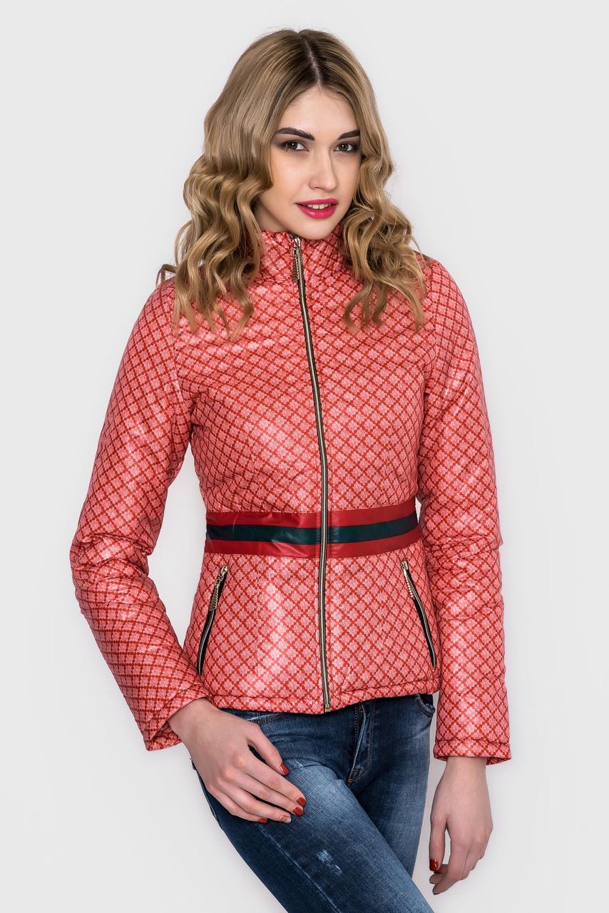 Куртка "Gucci style" 1756 - фото 1 - id-p4896704