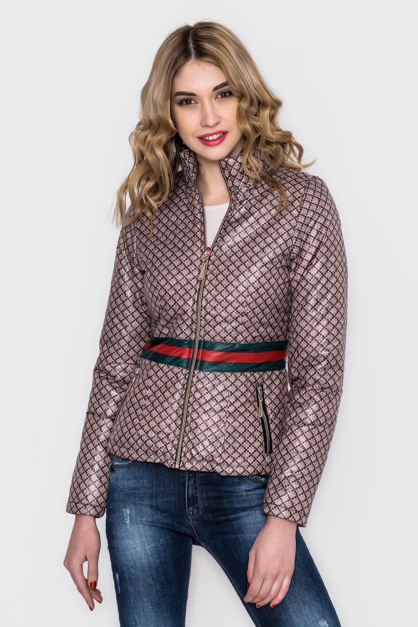 Куртка "Gucci style" 1756 - фото 1 - id-p4896707