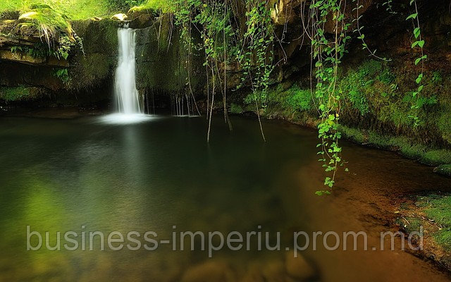 Картина Водопад, лес - фото 1 - id-p757549