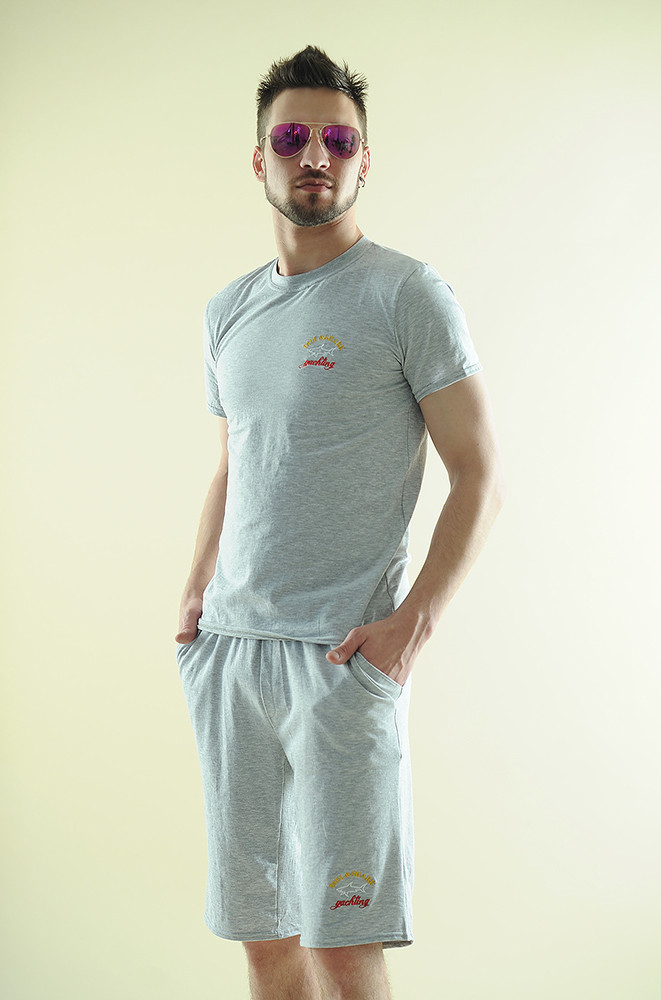 Удобный мужской летний спортивный костюм футболка и шорты - фото 1 - id-p5537881