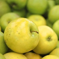 Яблоки (голден) - фото 1 - id-p36892