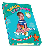 Морские животные