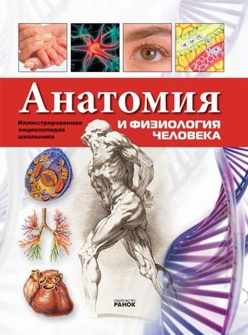 Анатомия и физиология человека - фото 1 - id-p21512