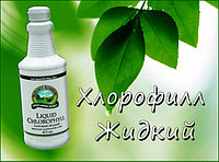 Жидкий Хлорофилл / Chlorophyll liquid
