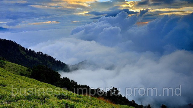 Картина Туман - фото 1 - id-p859773