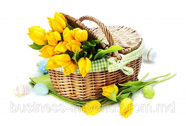Тюльпаны Желтый - фото 1 - id-p883562