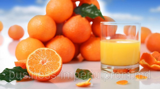 Апельсины - фото 1 - id-p898733