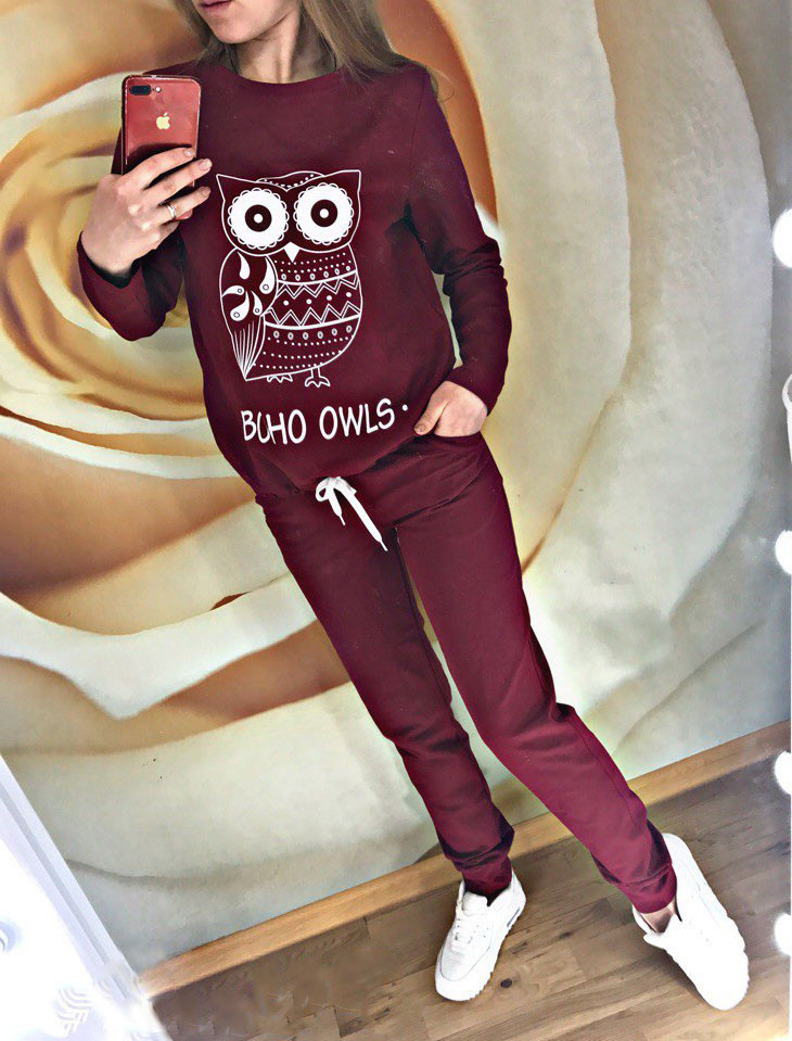 Костюм женский спортивный трикотажный штаны и кофта с рисунком совы - фото 1 - id-p5988808