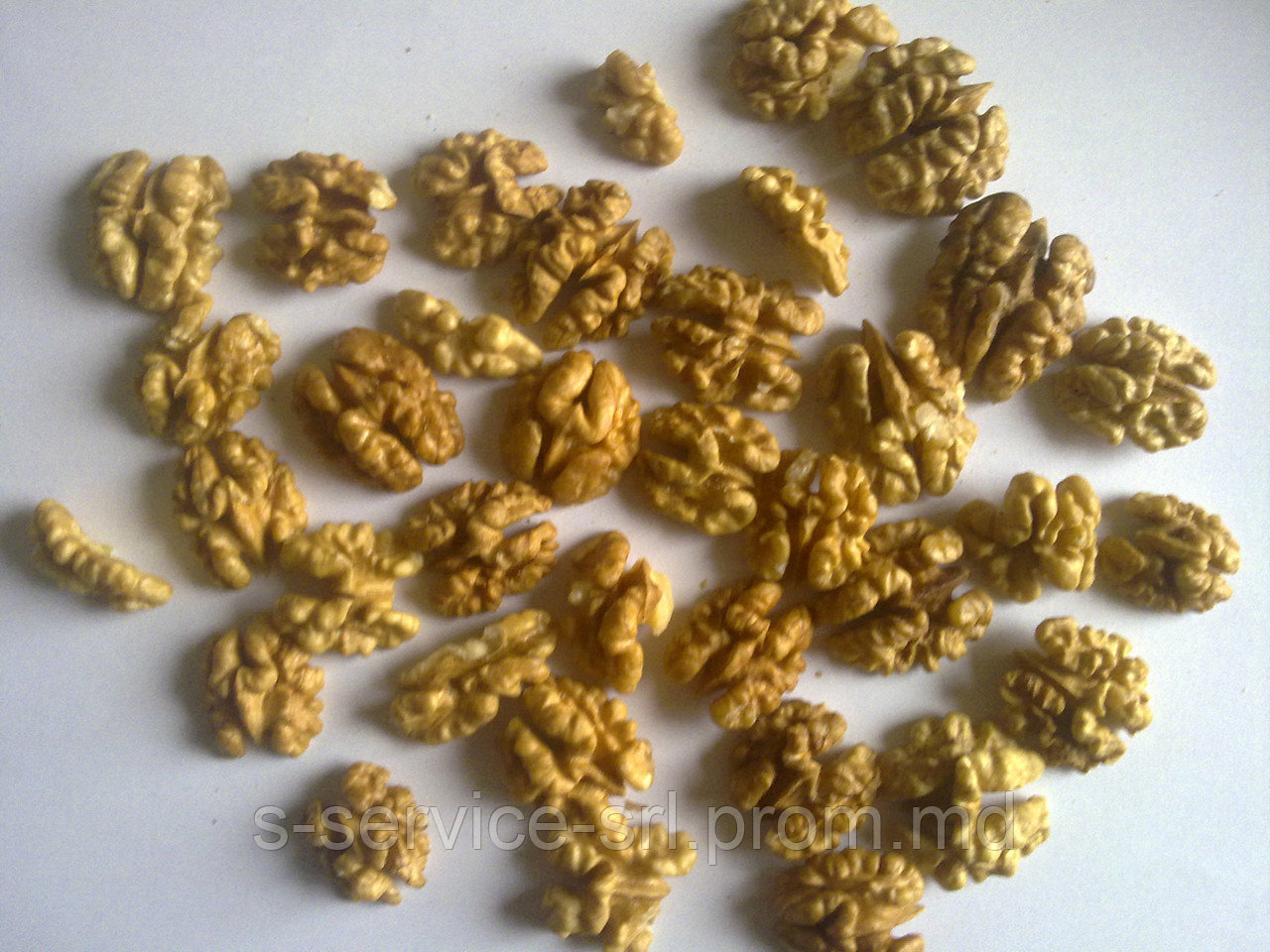 Грецкий орех (половинка и четверть) / Walnut kernel (1/2, 1/4) - фото 1 - id-p5377313