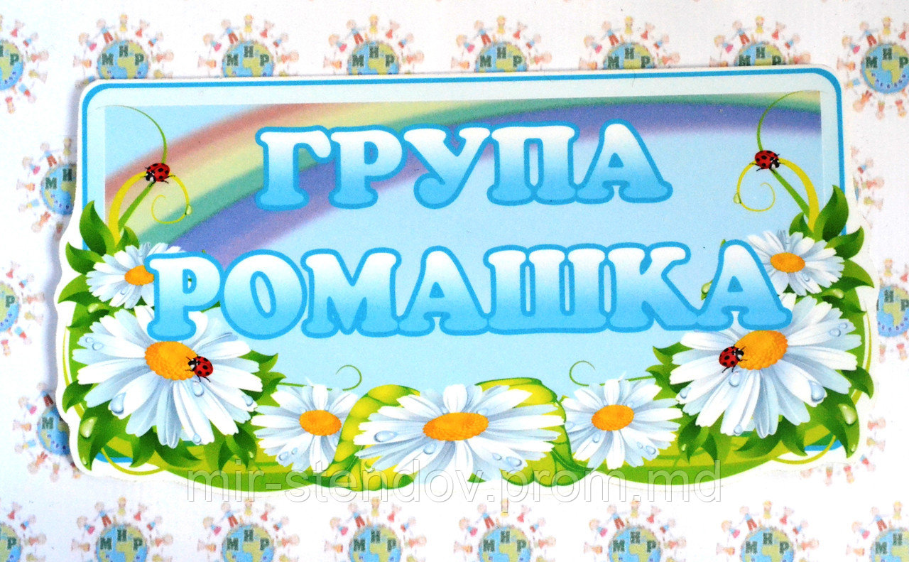 Табличка для группы оригинальная Ромашка, фото 1