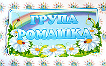 Табличка для группы оригинальная Ромашка