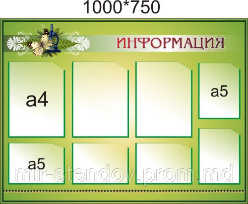 Стенд Информация, фото 1