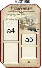 Стенд Интересная информация