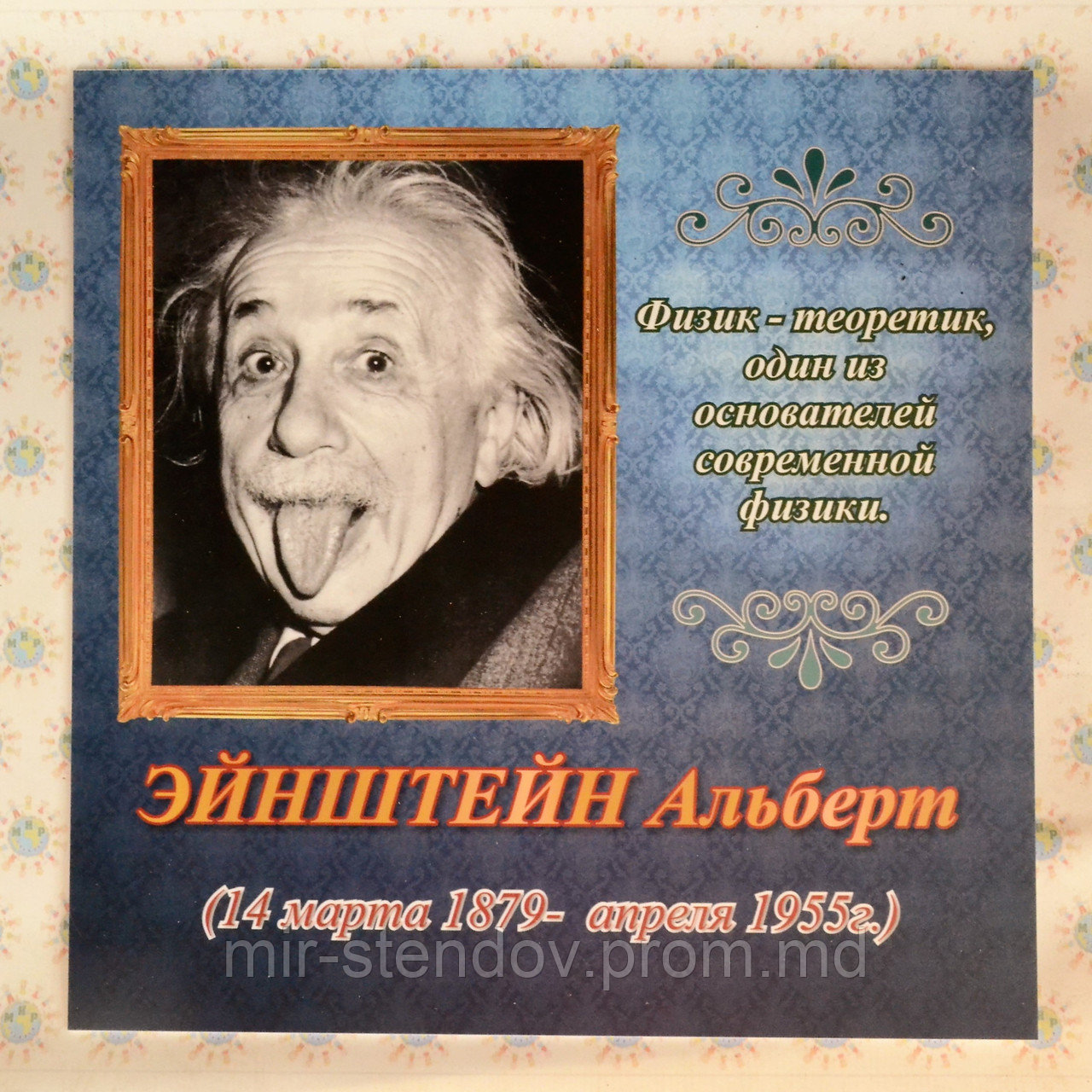 Эйнштейн. Портреты для кабинета физики, фото 1