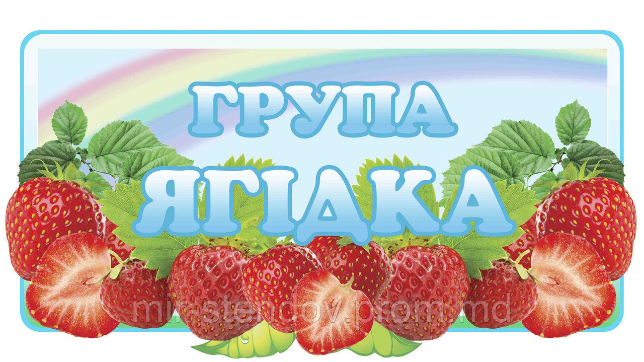 Табличка группа Ягодка, фото 1
