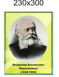 Марковников В.В. Портреты для кабинета химии, фото 2
