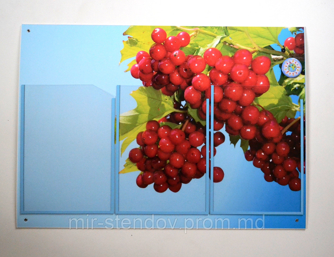 Классный уголок Калинка, фото 1