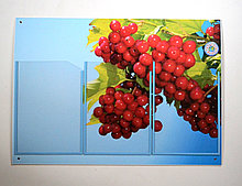 Классный уголок Калинка