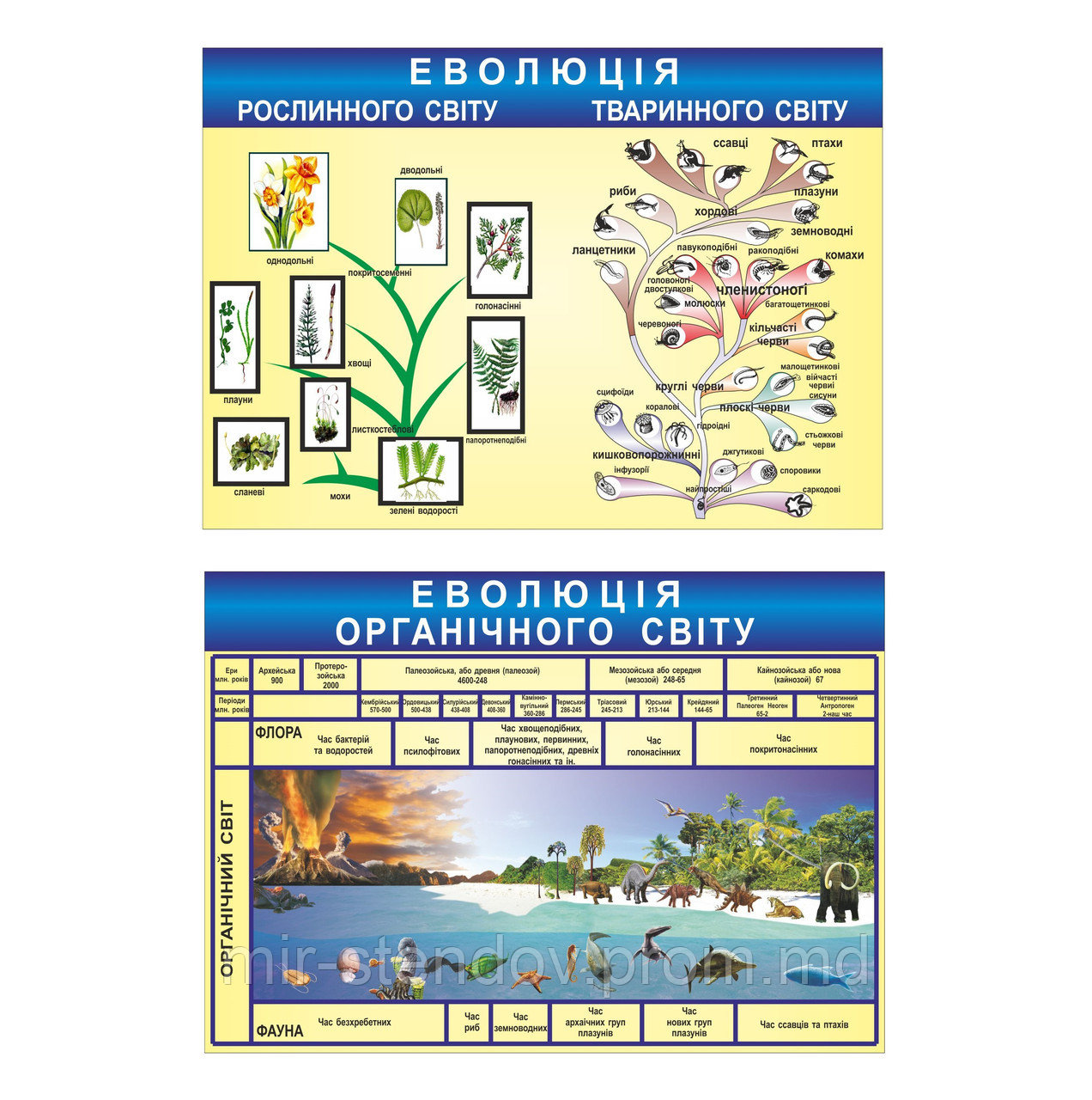 Картонные плакаты по Биологии, фото 1