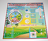 Календарь природы Градусник Солнышко, фото 2
