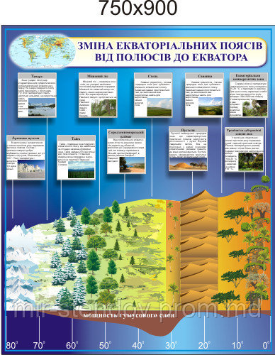 Экваториальные пояса. Стенд для кабинета географии, фото 1