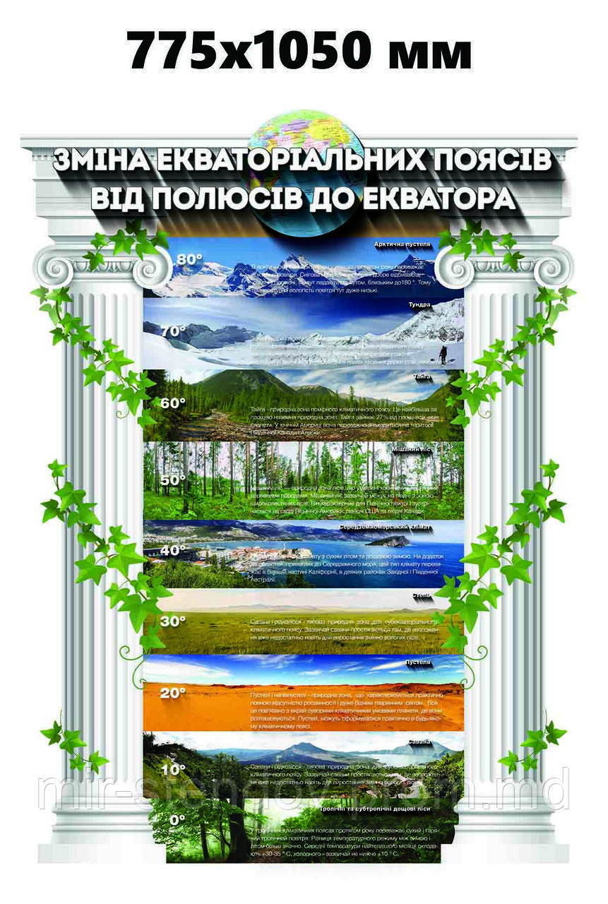 Экваториальные пояса. Стенд для кабинета географии, фото 1
