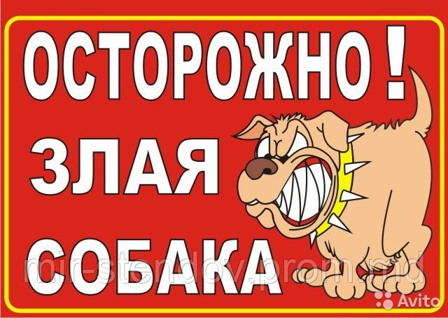 Наклейка Осторожно, злая собака, фото 1