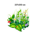 Заросли. Настенная декорация для детского сада., фото 2