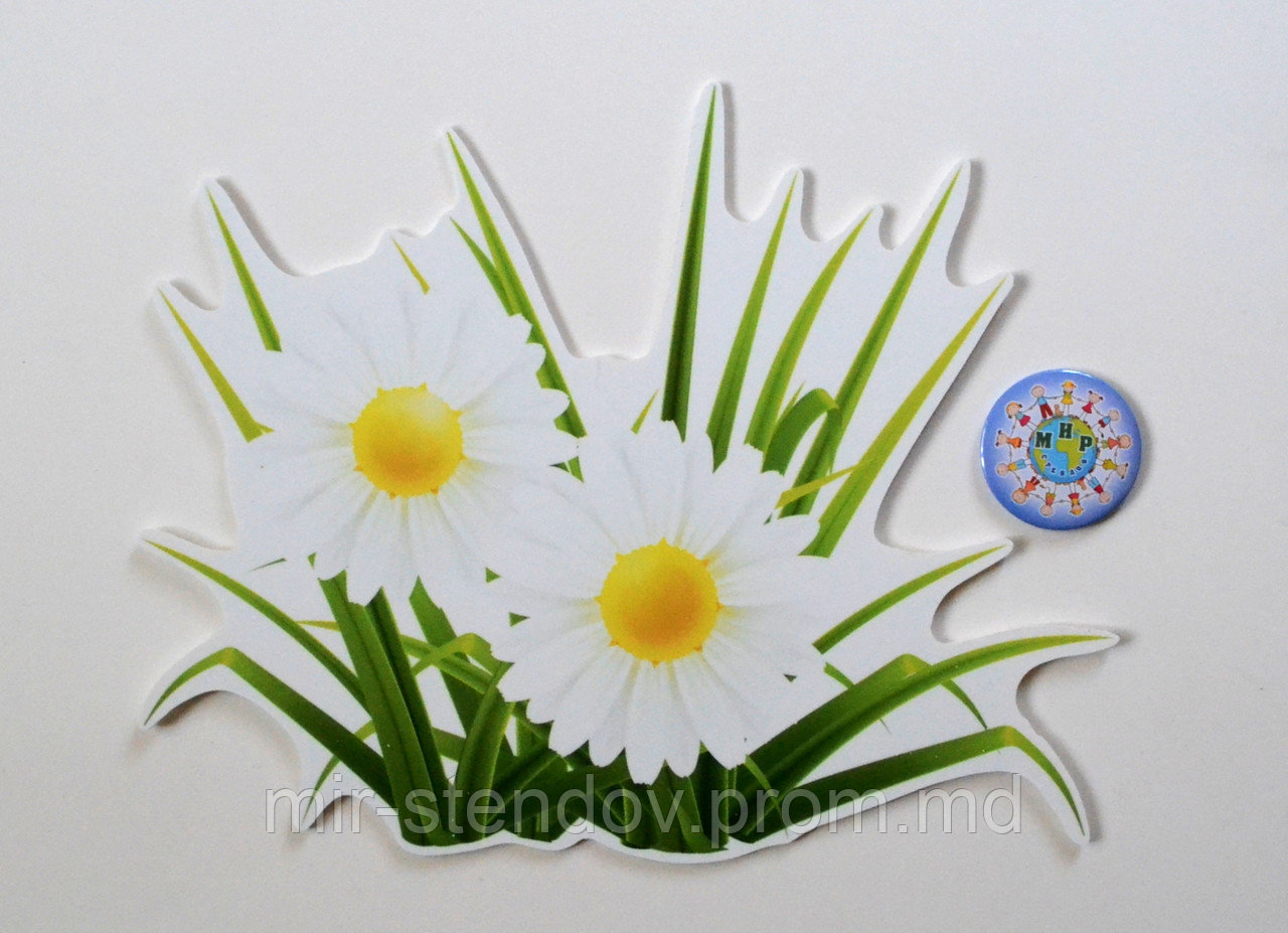 Ромашки. Настенная декорация для детского сада., фото 1