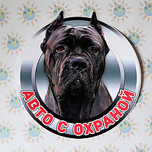 Наклейка Авто с охраной