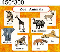 Zoo animals. Стенд для кабинета английского языка.