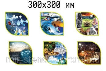 Стенд для декора школы, фото 1