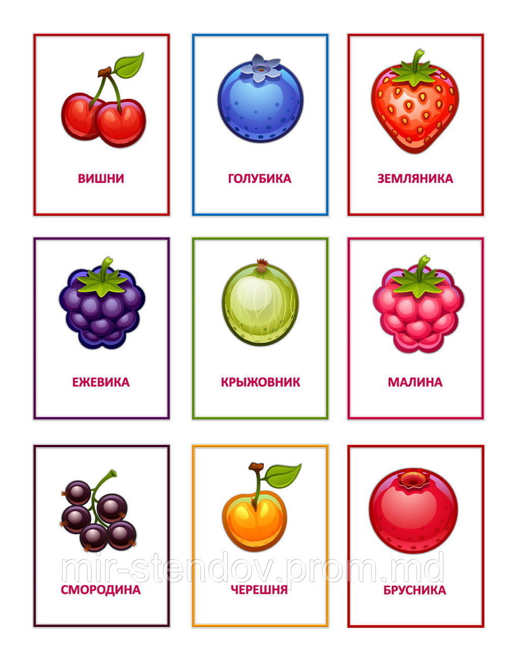 Комплект карточек для наглядности Ягоды, фото 1