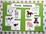 Farm Animals. Плакат для кабинета английского языка, фото 2