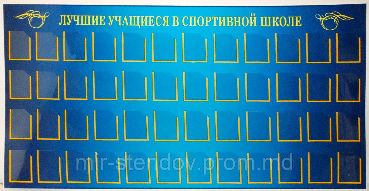 Стенд для спортивного зала "Наша гордость" Спортивная школа, фото 1