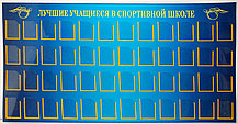 Стенд для спортивного зала "Наша гордость" Спортивная школа