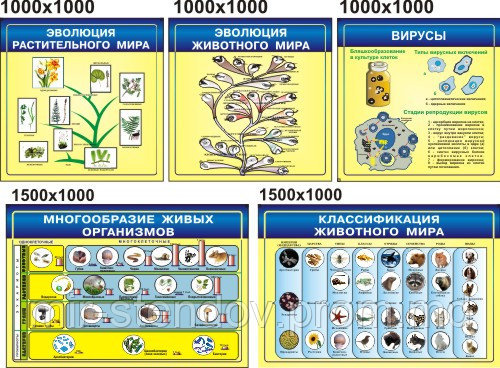 Комплект стендов для кабинета биологии, фото 1