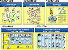 Комплект стендов для кабинета биологии