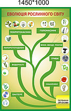 Эволюция растительного мира. Стенд для кабинета биологии