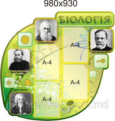 Биология. Стенд для кабинета биологии, фото 1